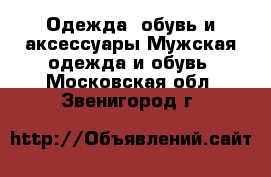 Одежда, обувь и аксессуары Мужская одежда и обувь. Московская обл.,Звенигород г.